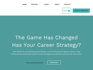 aneliteresume.com