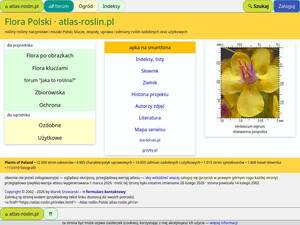 atlas-roslin.pl