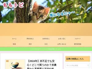 Mirea-web.jp