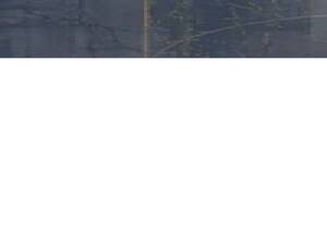 Silentfalconuas.com
