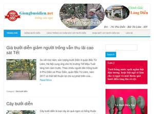 giongbuoidien.net