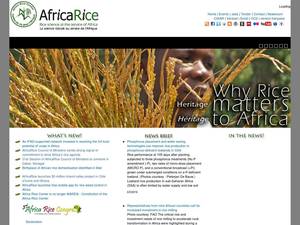 africarice.org