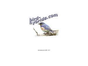 bird-hybrids.com