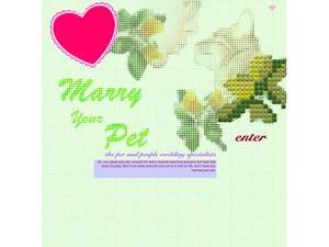 marryyourpet.com