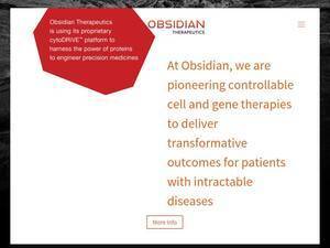 obsidiantx.com