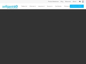 strongview.com