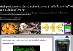 glucoamylase-enzyme.blogspot.com