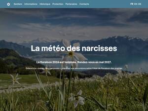 narcisses.com