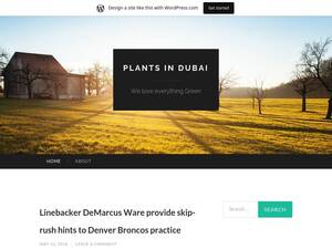 Plantsindubai.wordpress.com