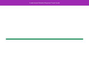 wayanadtravelagent.com