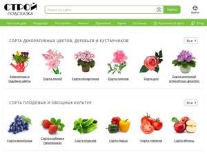 stroy-podskazka.ru