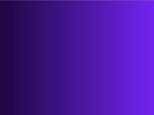 stox.com
