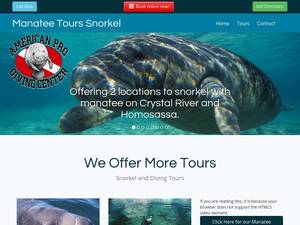 americanprodiving.com