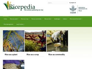 ricepedia.org