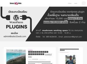 select2web.com