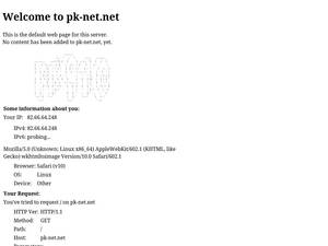 Pk-net.net