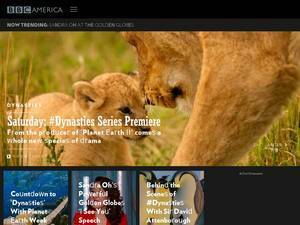 bbcamerica.com