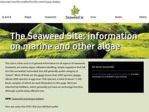 seaweed.ie