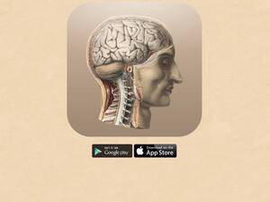 Classicanatomy.appspot.com