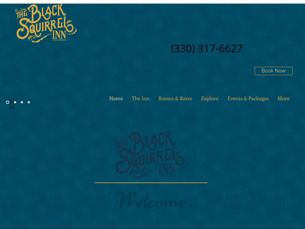 blacksquirrelinn.com