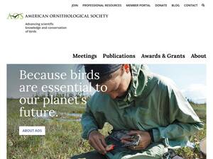 americanornithology.org