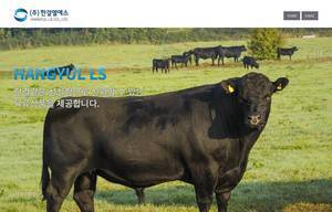 hangyulls.com