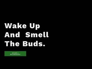 budandbfast.com